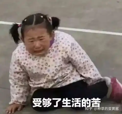 表情包大户