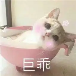 母猪图片表情包老师