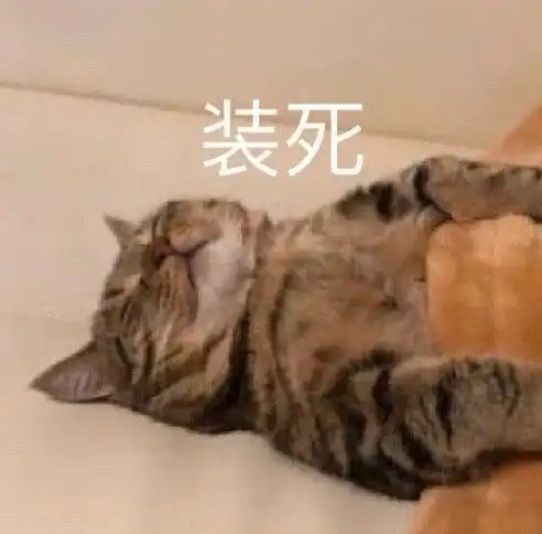 热门表情包微信里常用图片