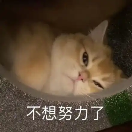 搞笑表情包更新我懂的,这就是生活