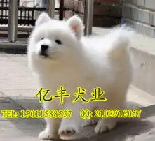 黄页88高清图片
