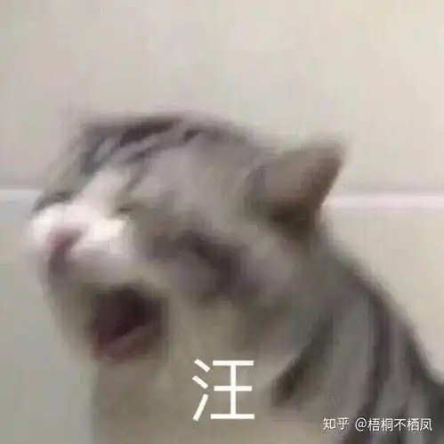 对于闷骚型的男生怎么撩