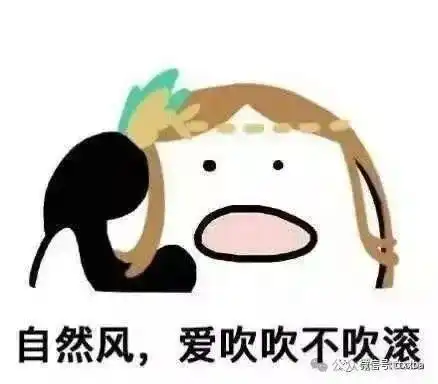 滚的表情包动作打电话