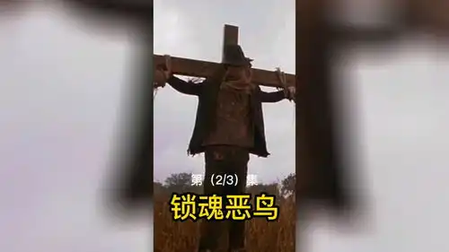 好奇害死猫,遇到怪异事情不要单独行动