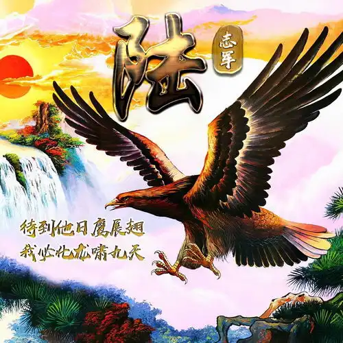 雄鹰头像男生专用