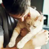 我要和第一张头像差不多的图片做qq头像,性别男的,抱着狗或猫咪