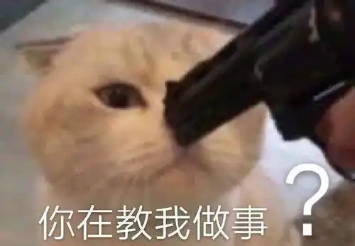 hr版丨王思聪爱情语录情话,头笑掉了