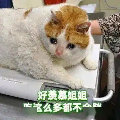 网友整理的绿茶婊经典语录,看着看着我拳头硬了