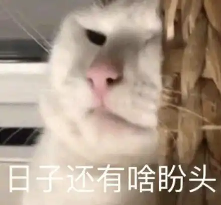 摸鱼鱼表情包什么意思这