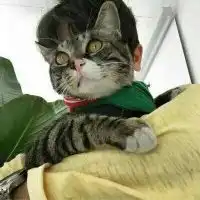也许我很差