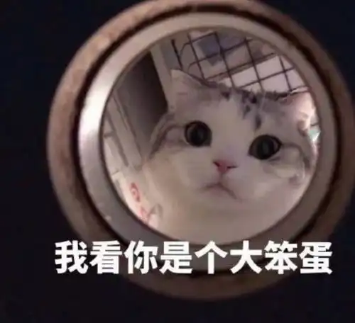 小胖子表情包我没钱猫咪