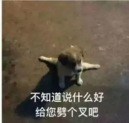 母猪图片表情包我要
