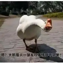 王刚烧兔子违背动物福利四川人瑟瑟发抖