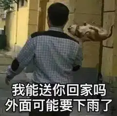 表情包你看我人畜无害