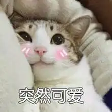 原来现在我们抢破头的色号,港星们十几年前就用上了