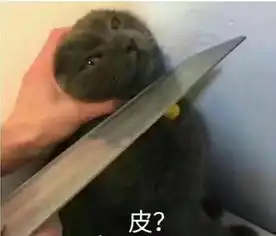 今年苏州沙雕新闻这么早开始冲业绩吗不仅看出了相声的感觉,还笑出了声