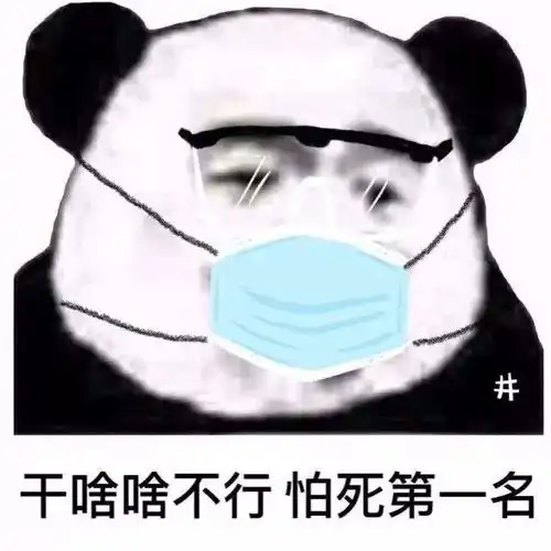 有没有戴口罩的表情包