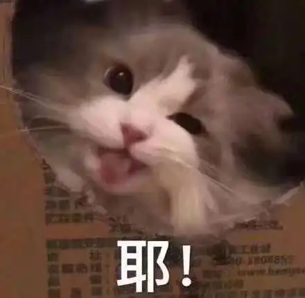 今日起,深圳不再抽签送口罩啦还有这些购买渠道