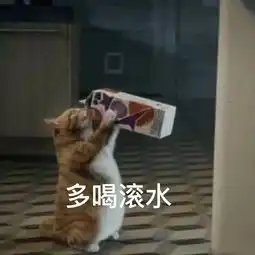猛虎落地式下跪表情包家