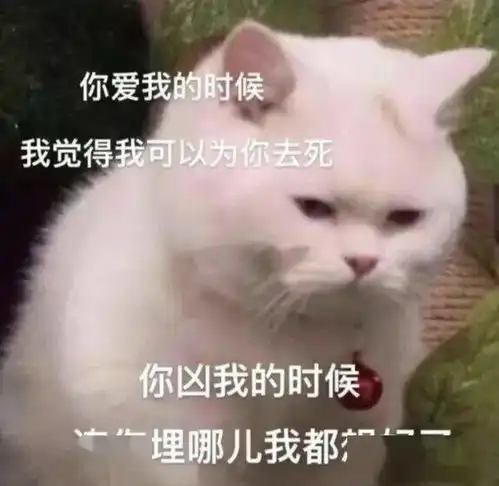 套路你家男朋友的可爱猫猫表情包集锦