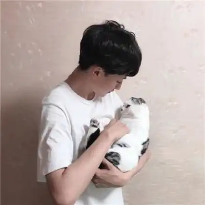 真人猫咪头像男生