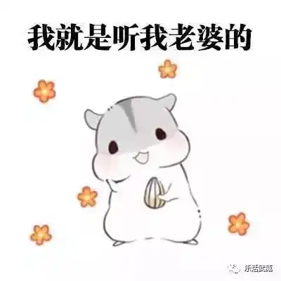 武威姑娘的正确使用手册,请武威小伙子注意查收