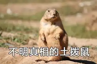 魔性洗脑哪家强配音我只服翻译腔