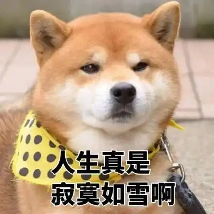 搞笑柴犬表情包,你说这话,你自己信