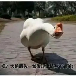 各省动物谋杀图鉴