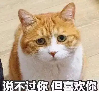 猫咪居然也要多喝热水