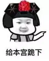 表情包给本宫跪下