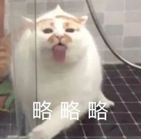 骑着魔法刷的我到底能不能自由自在地飞