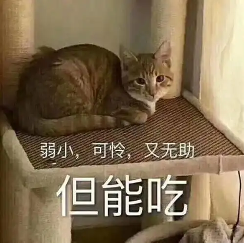 沙雕表情小老弟你有点皮