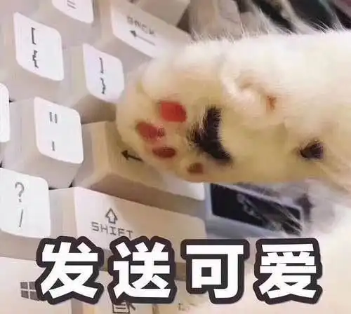 包包