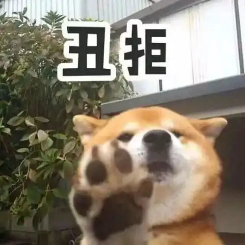 剑网三天策柴犬表情包