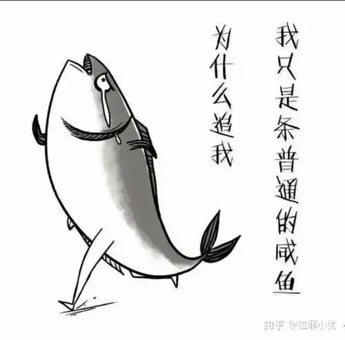 洗地机和扫地机器人我应该选择哪一个洗地机和扫地机器人推荐指南