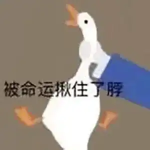 大鹅小表情