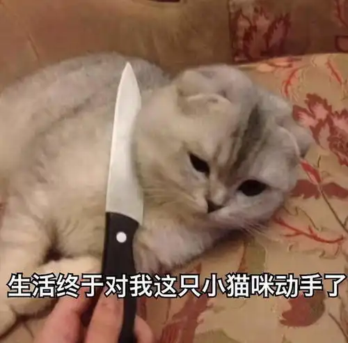 这些女孩为了减肥,连命都不要了