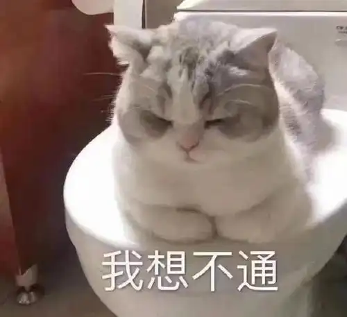 一些奇奇怪怪的猫猫表情包集合7