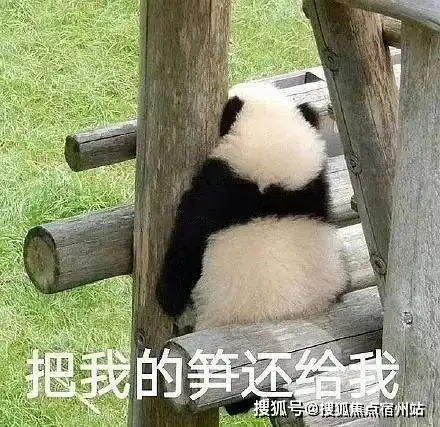 当戏精遇上骗子重金求子,山上的笋都被夺完了