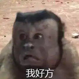 罕见萍乡这个景区首次拍到野生猴群,猜猜它们在干嘛...