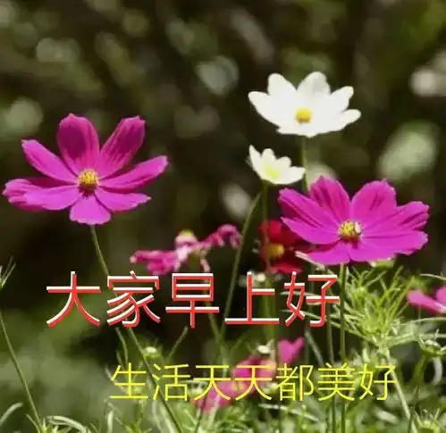 朋友
