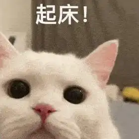 猫咪阴阳怪气表情包你不爱我对不对