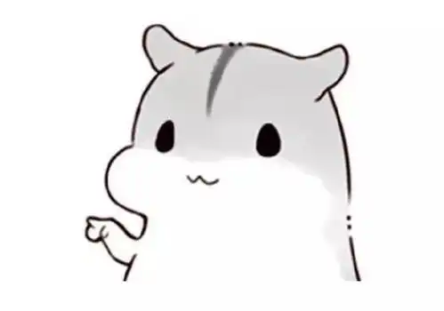 洞察一切表情包猫咪