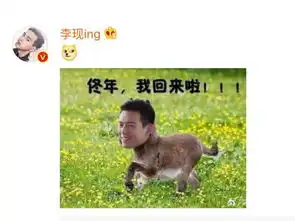 李现微博道歉,不好意思我不该黑我自己
