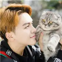 男生抱猫头像,2018抱着猫的高清男生头像图片