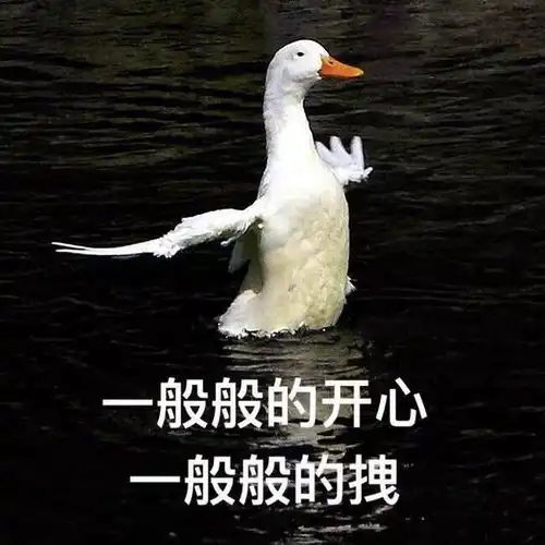搞笑斗图表情包39张请问,我可以成为你的网上邻居吗
