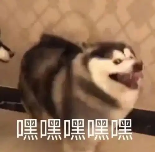 肖战在线反黑,一个走在维护自己偶像前沿的追星人