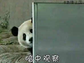笑表情包熊猫头发明