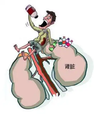 奇妙的中医关于肾虚的那些事